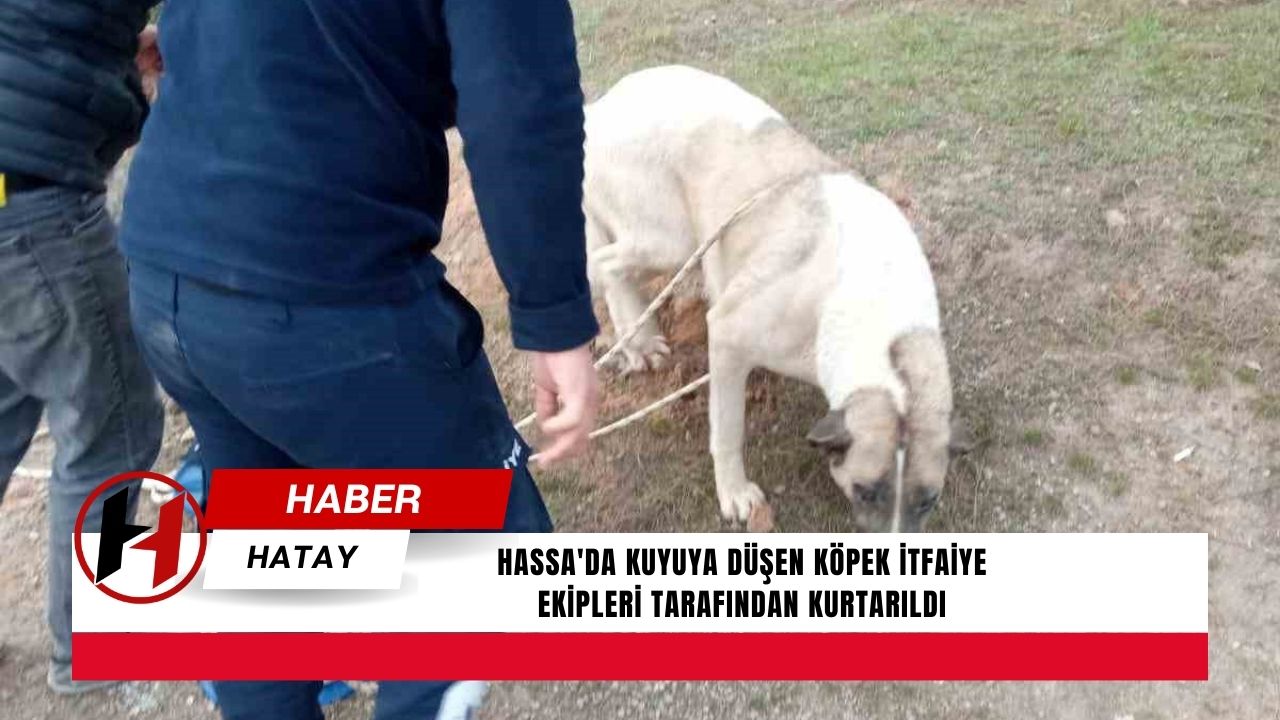 Hassa'da Kuyuya Düşen Köpek İtfaiye Ekipleri Tarafından Kurtarıldı