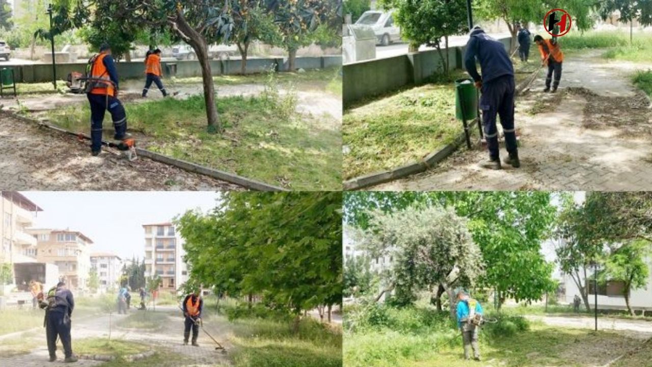 Antakya'da Parklar Yenilendi: 95 Mahallede Yeşil Alanlar Güzelleşiyor!