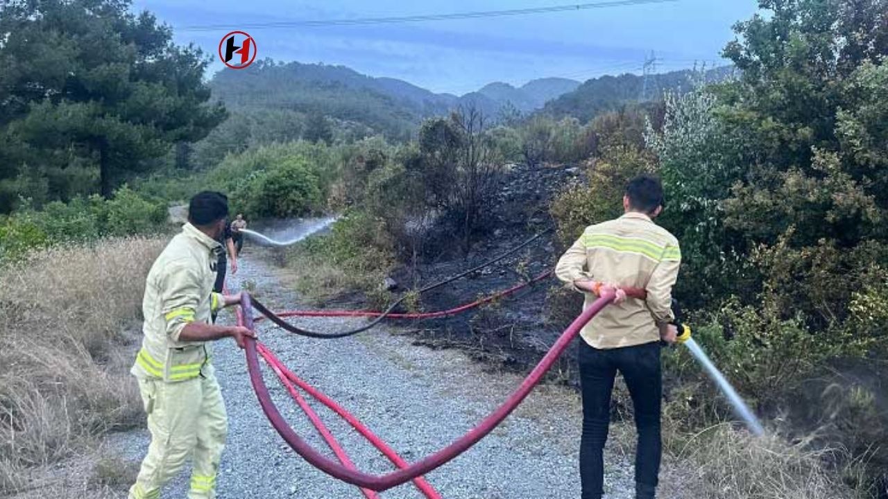 Hatay'da Orman Yangını Sönürüldü: Yaklaşık 2 Dönümlük Alan Zarar Gördü