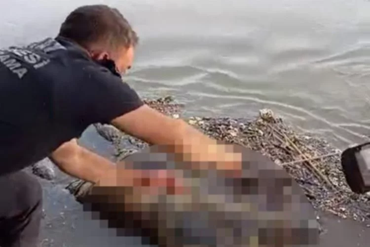 Nehirde erkek cesedi bulundu