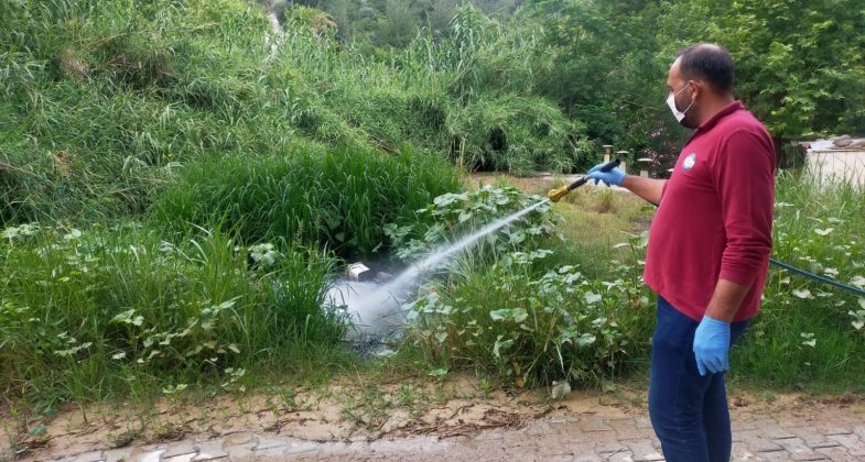 Hatay Büyükşehir Belediyesi (HBB), il genelinde haşere ve sineklerle mücadele çalışmalarını aralıksız sürdürüyor.