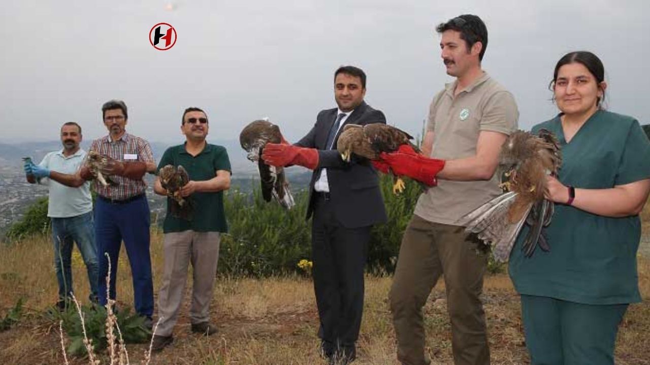 Hatay'da Yaralı 15 Yabani Kuş, Doğaya Kanat Çırptı!