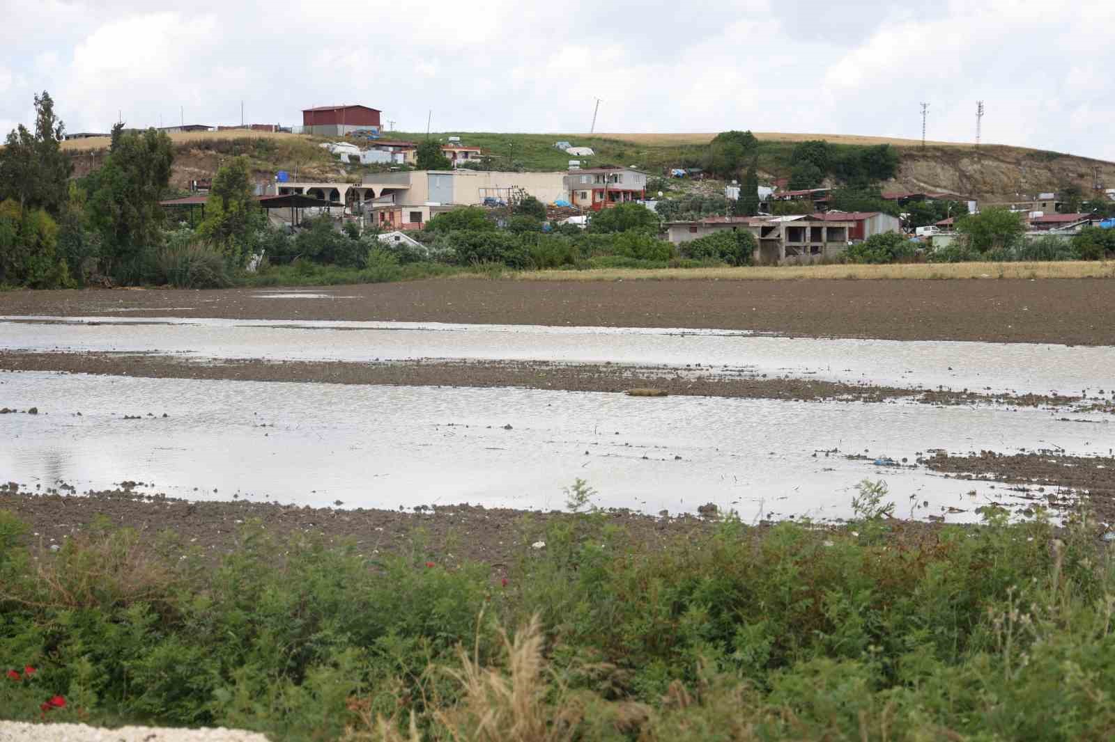 Şiddetli yağış tarım arazilerini vurdu
