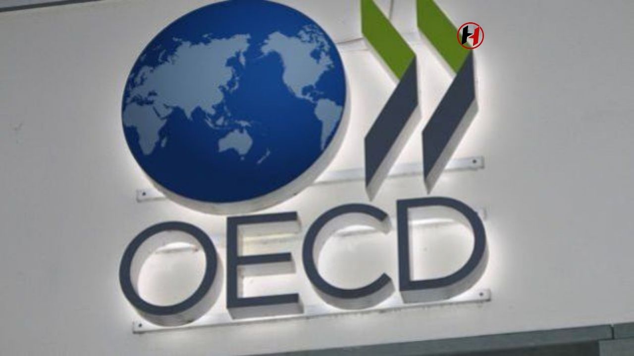 Türkiye Ekonomisi Beklentileri Artıyor: OECD Büyüme Tahminini Yükseltti!