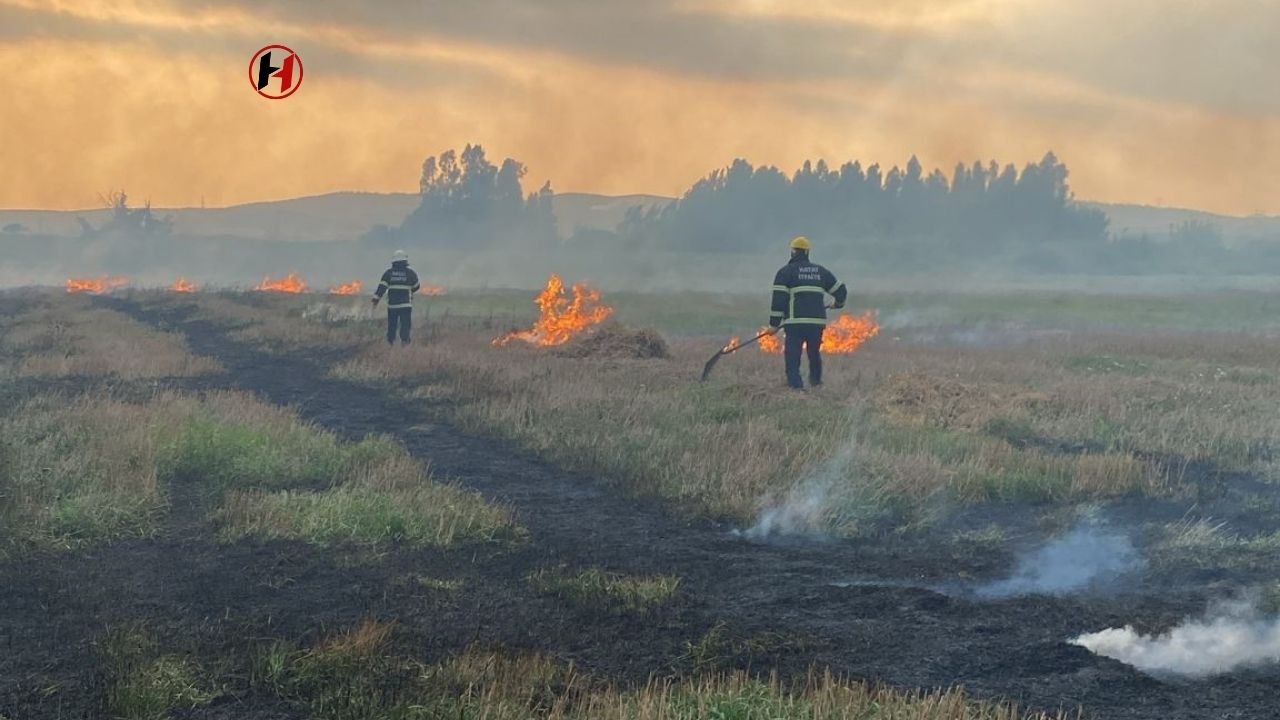 Erzin'de Sazlık Alanında Yangın Paniği! İtfaiye Ekipleri Müdahalede