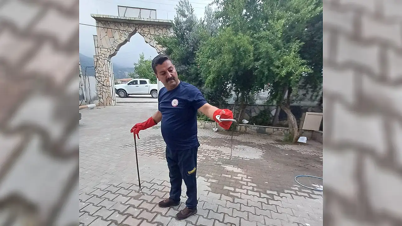 Hatay’da kız öğrenci yurduna giren yılan çıkarıldı