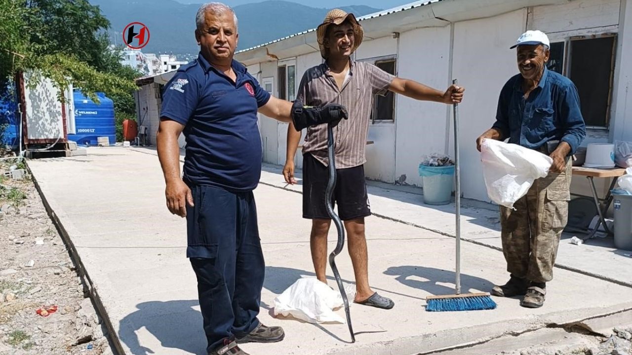 Hatay'da Konteynera Giren Yılan İtfaiye Ekipleri Tarafından Yakalandı!