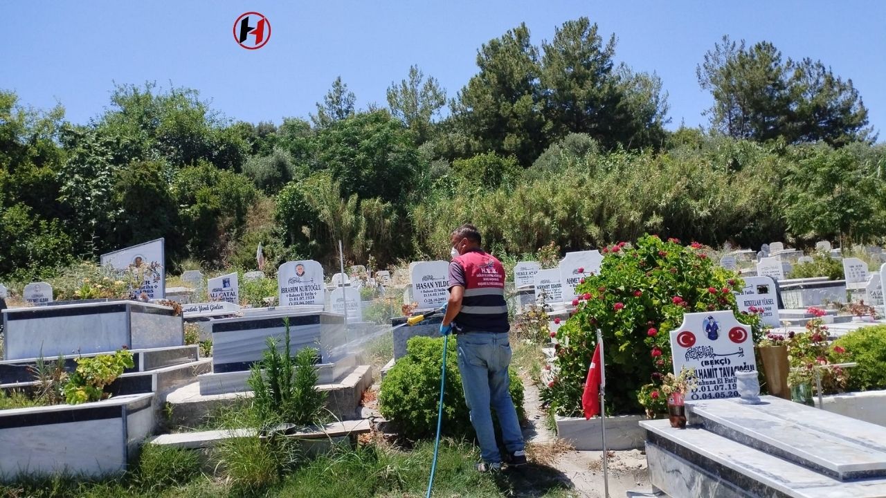 Hatay'da Mezarlıklar Bayrama Hazır: Temizlik, İlaçlama ve Çiçek Dağıtımı Yapılacak