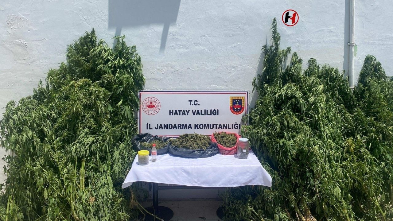 Hatay'da Uyuşturucu Operasyonu: 8 Kilo Esrar ve 30 Şüpheli Gözaltında!