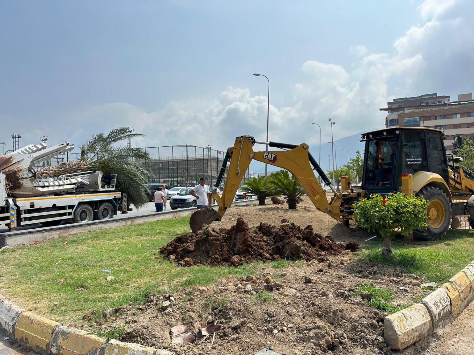 İskenderun Belediyesi, çevre düzenleme çalışmaları kapsamında sökülen palmiye ağaçlarını titizlikle yeni yerlerine dikerek yeşil dokuya olan hassasiyetini bir kez daha gösterdi.