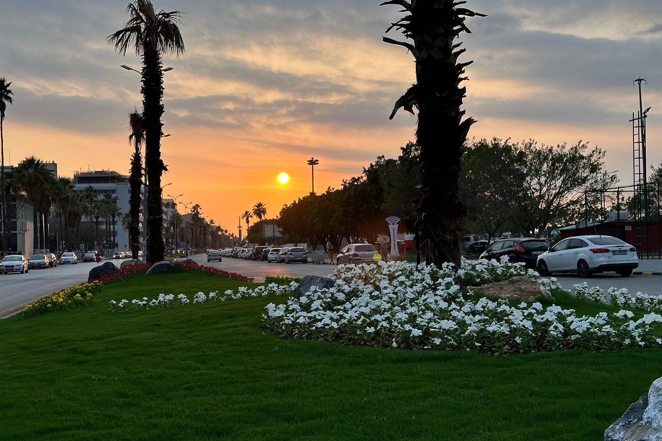 İskenderun Belediyesi, çevre düzenleme çalışmaları kapsamında sökülen palmiye ağaçlarını titizlikle yeni yerlerine dikerek yeşil dokuya olan hassasiyetini bir kez daha gösterdi.