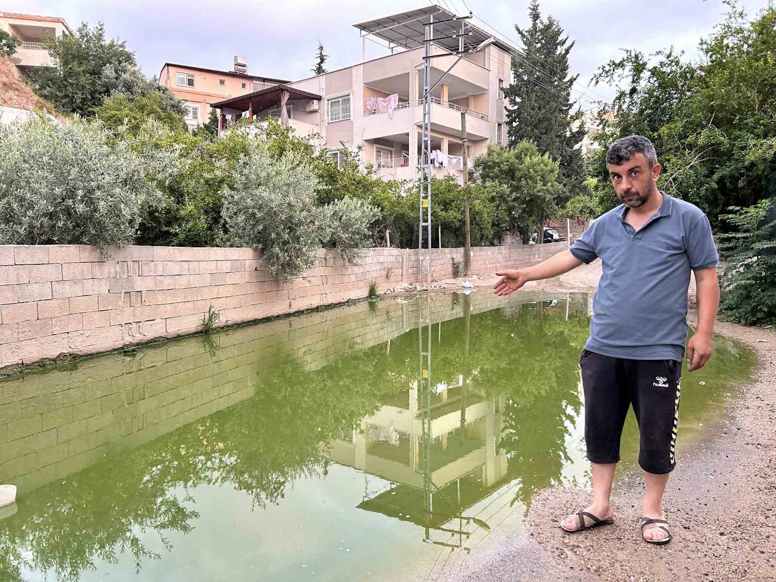 Su birikintisinin yeşil renge bürünmesi merak uyandırdı