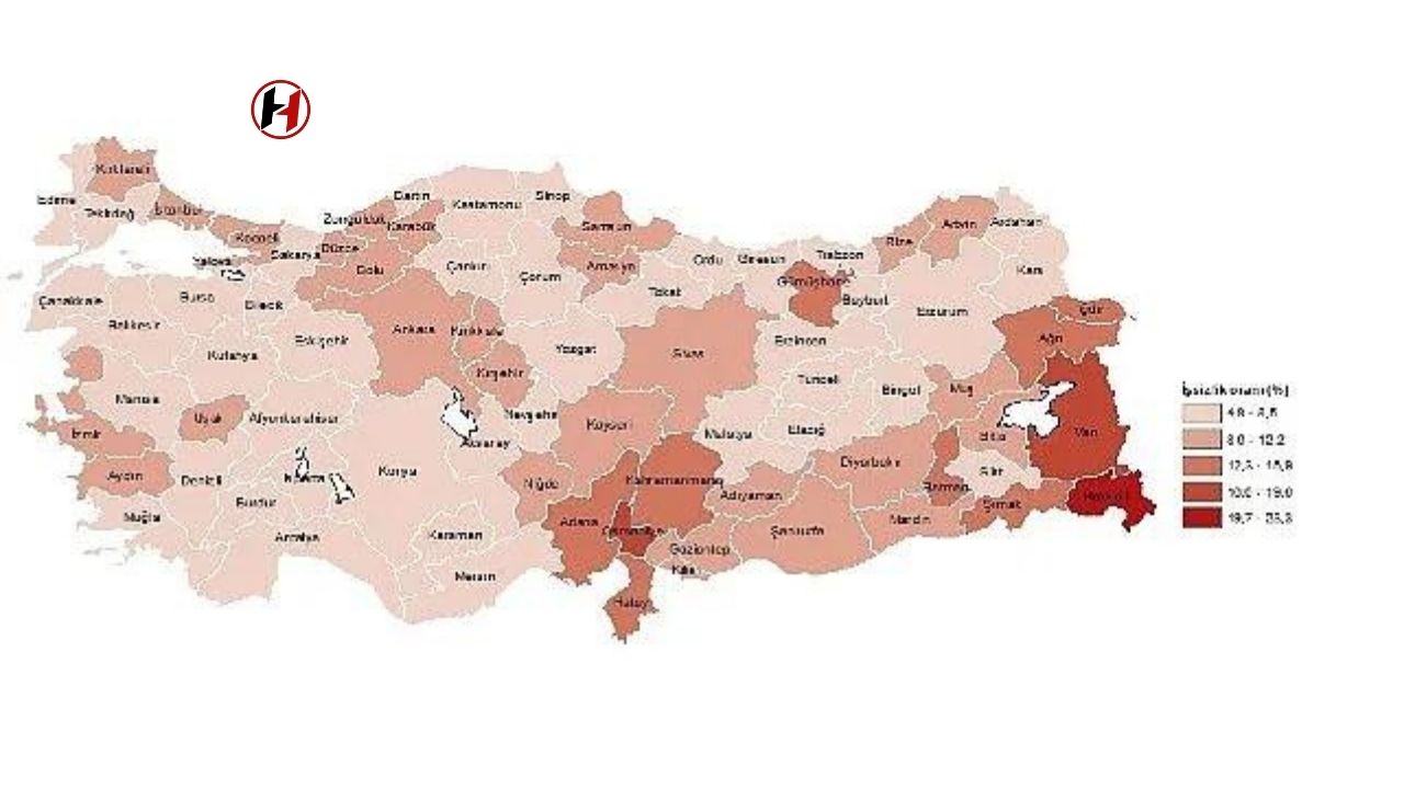 2023'te İşsizlik Hakkari'de Patladı, İstihdam Ardahan'da Zirvede!