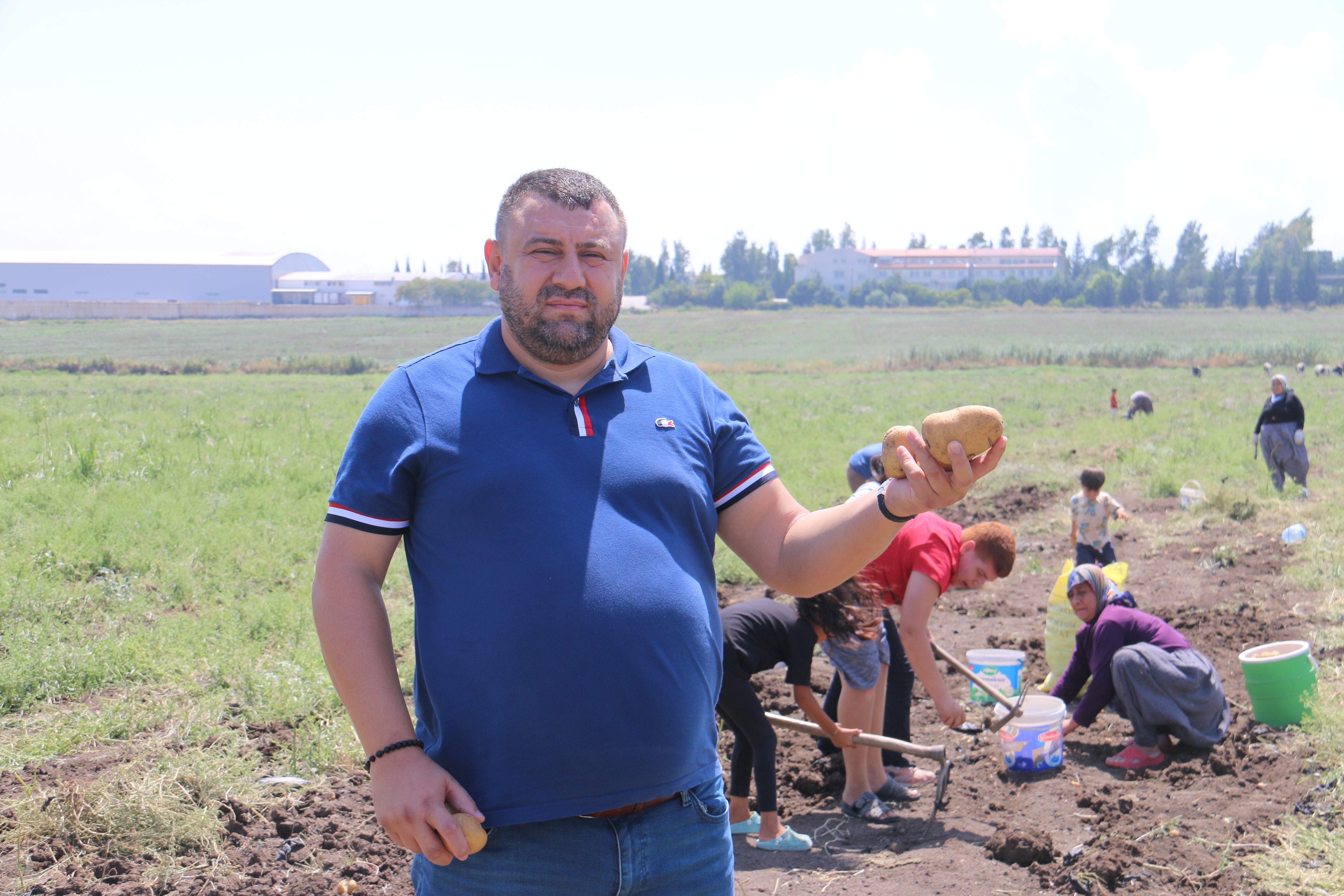 Hatay'da depremden etkilenen çiftçi, 350 dönüm patatesi market fiyatının çok altında satılmayınca bedavaya dağıtmaya karar verdi. Vatandaşlar tarlaya akın ederek ücretsiz patates topladı.