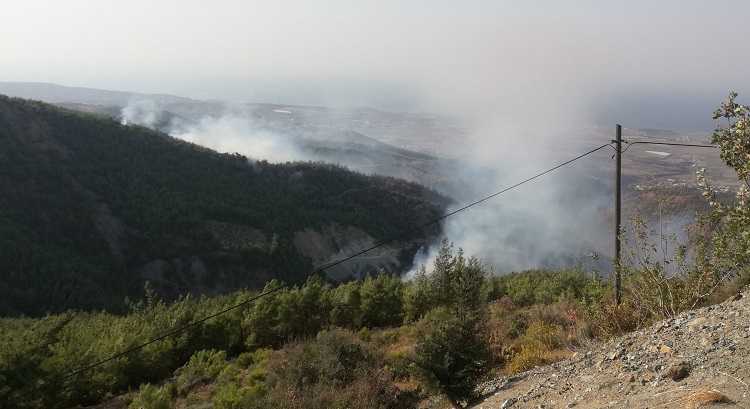 Arsuz'da Kozaklı Mahallesi'nde henüz bilinmeyen nedenle çıkan orman yangını, Orman Bölge Müdürlüğü, itfaiye ekipleri ve hava araçlarının yoğun çalışmasıyla kontrol altına alındı.