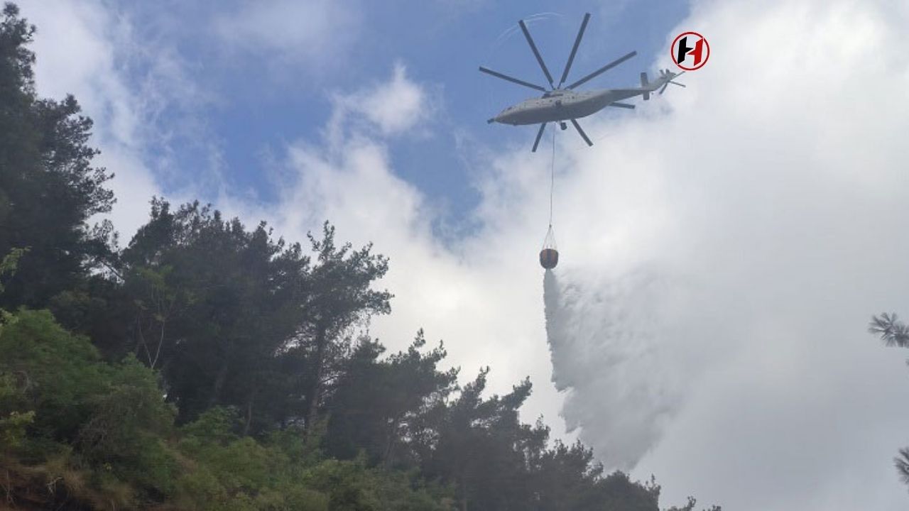 Hatay Arsuz'da Orman Yangını Kontrol Altına Alındı!