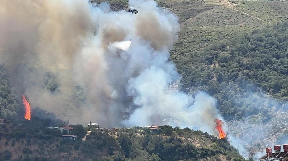 Hatay’da orman yangını