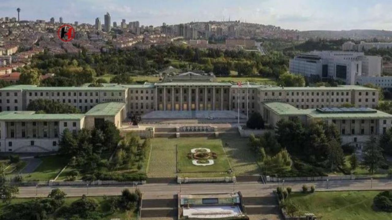 Hayvanları Koruma Kanunu'nda Değişiklik: Sokak Hayvanları İçin Kapsamlı Düzenleme Geliyor!