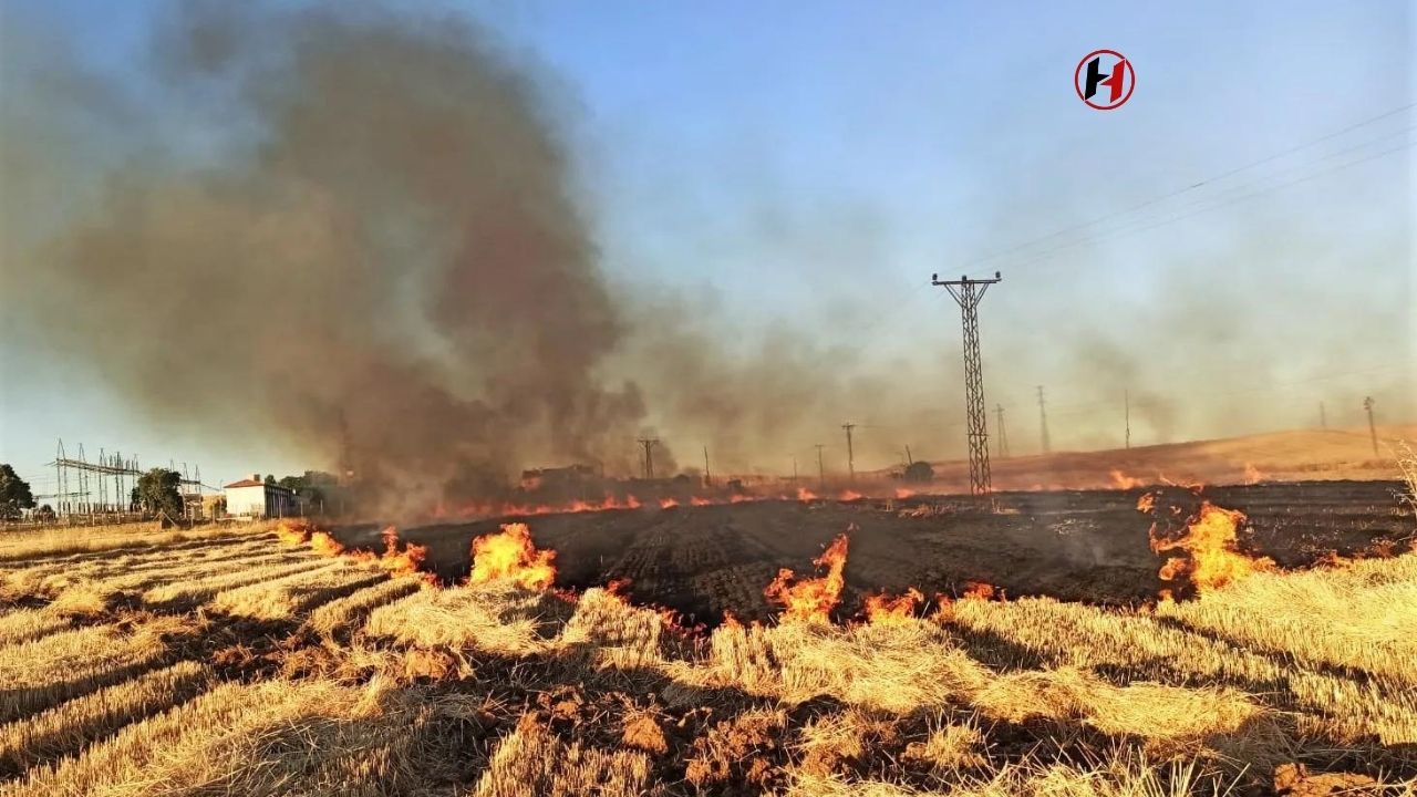 Şanlıurfa'da Anız Yakımı 16 Mahalleye Elektrik Kesintisi Yaşattı!