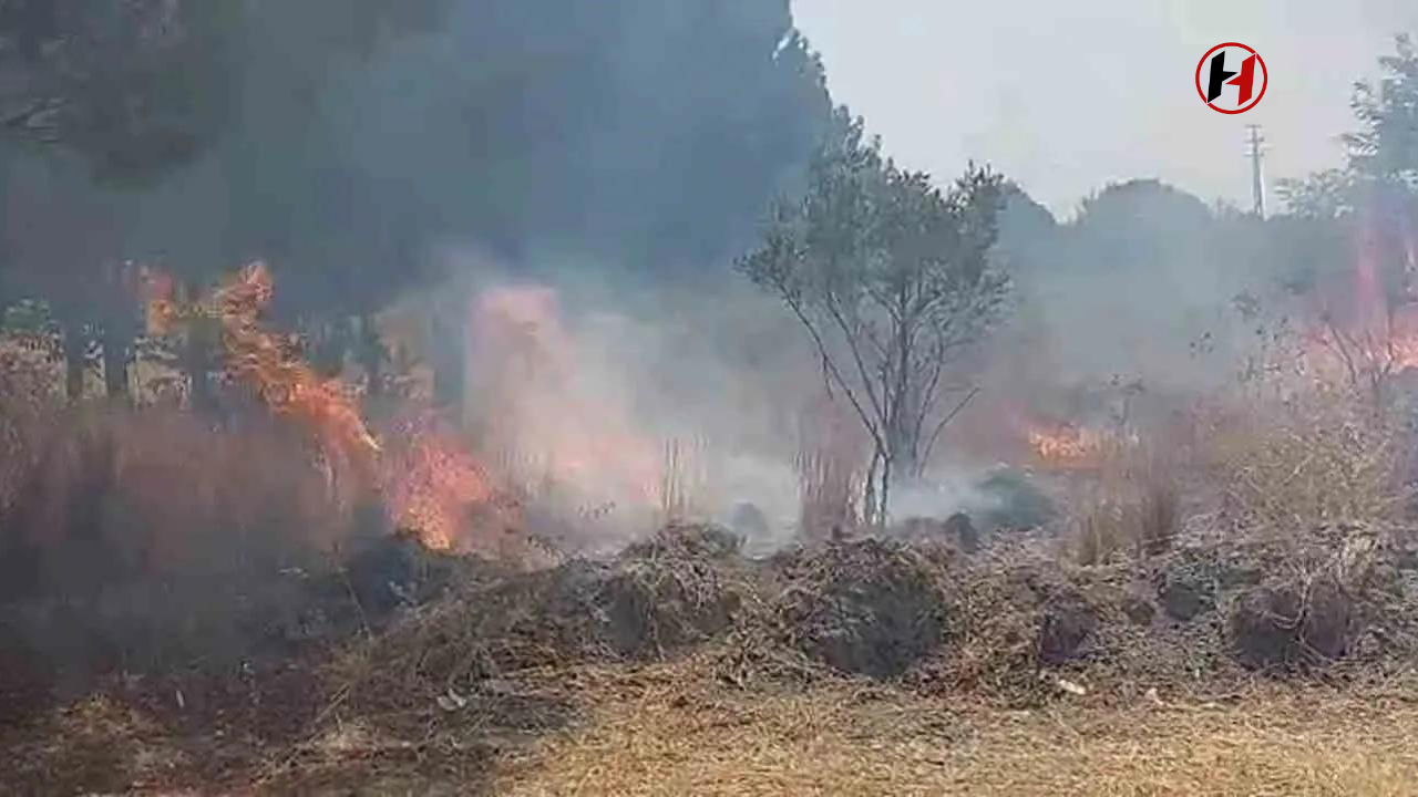 Erzin İsalı'da Orman Yangını Alarmı: İtfaiye Ekipleri Zamanında Müdahale Etti