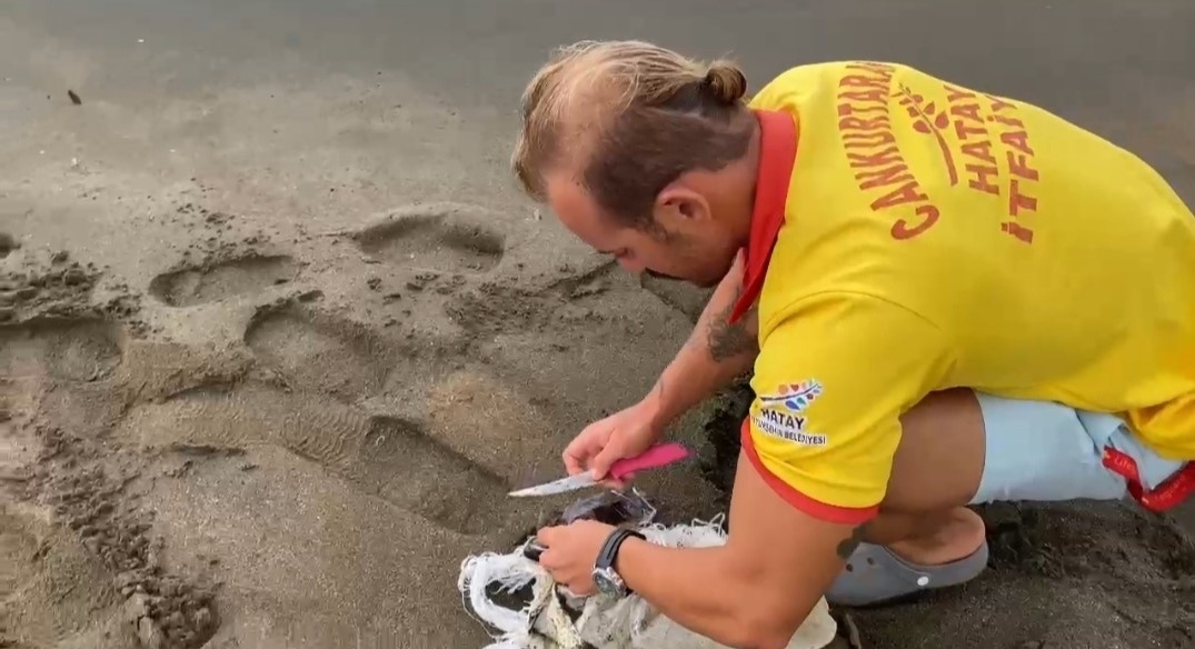 Hatay'da sahilde çuvala dolanmış halde bulunan caretta caretta yavrusu, cankurtaranların zamanında müdahalesiyle kurtarılarak denize bırakıldı.