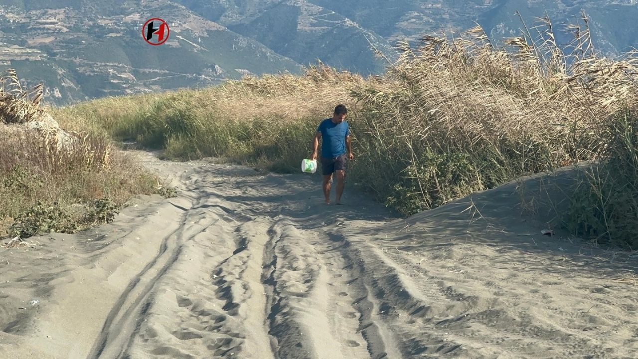 Hatay'da Deniz Kaplumbağalarının Yaşam Mücadelesine Gönüllü Katılım