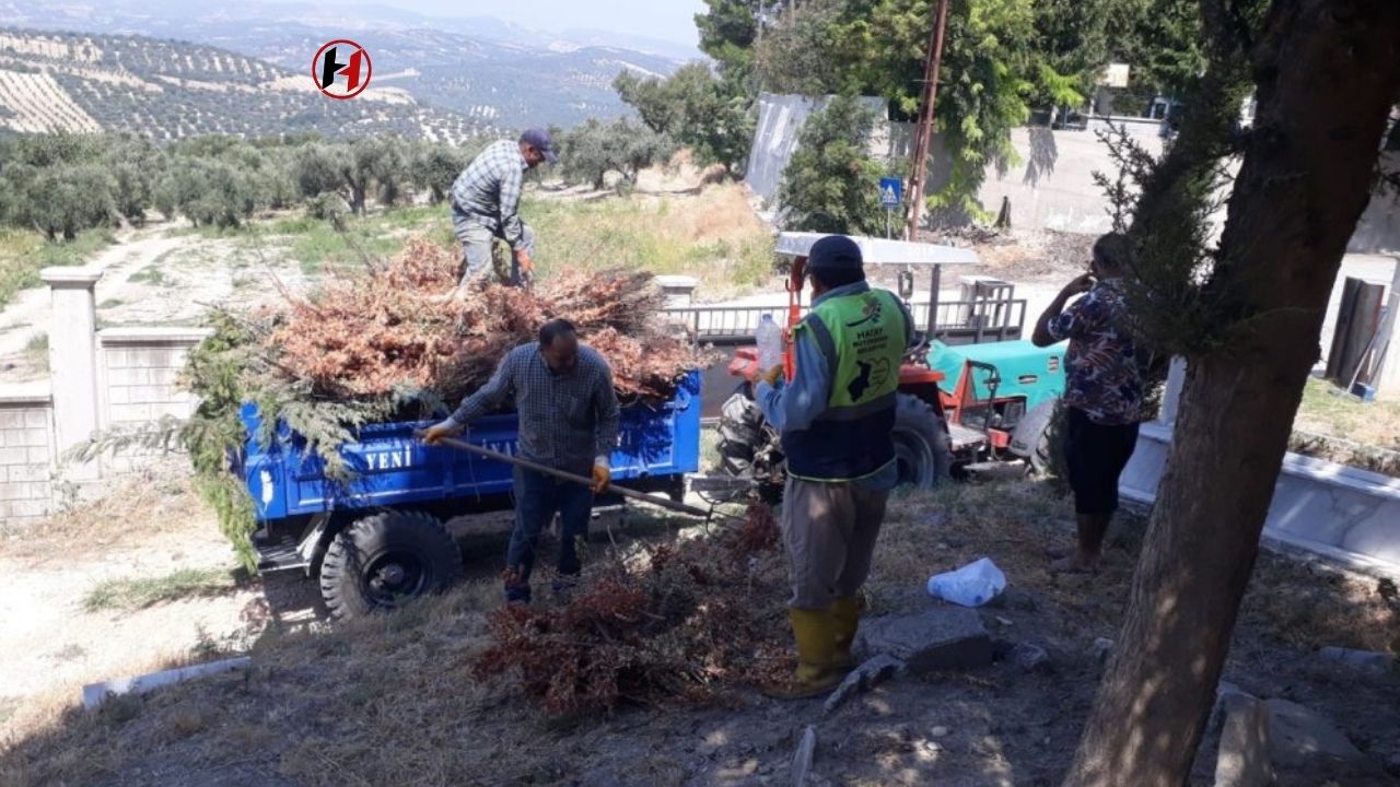 Hatay'da Mezarlıklar Bakımında Büyükşehir'den Kapsamlı Çalışma