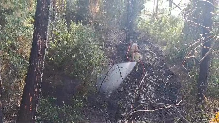 Hatay'daki yangın kontrol altında