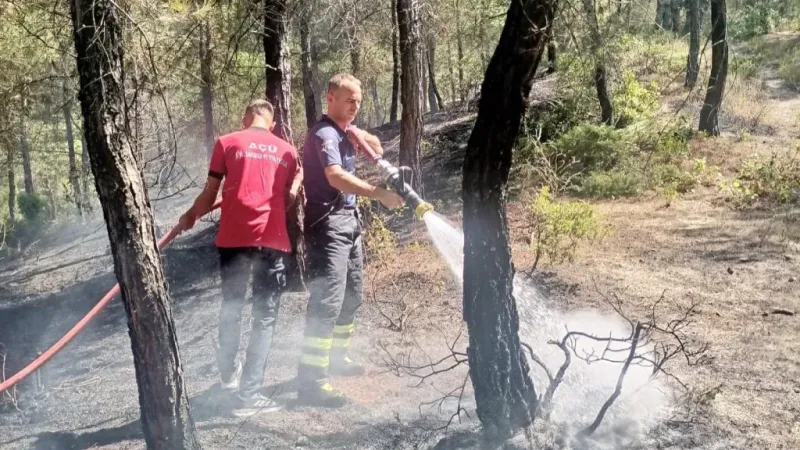 Yayladağı’ndaki yangın büyümeden söndürüldü