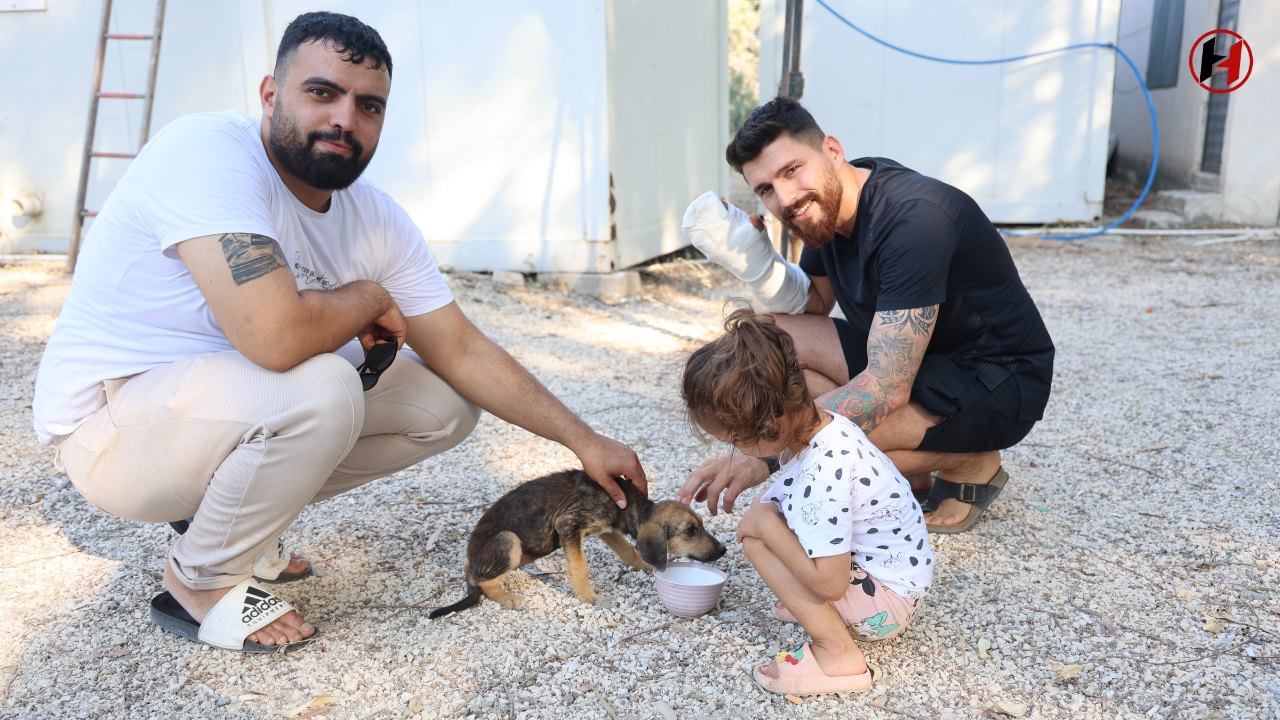 Antakya'da Çöpte Bulunan Yavru Köpek Hayat Buldu!