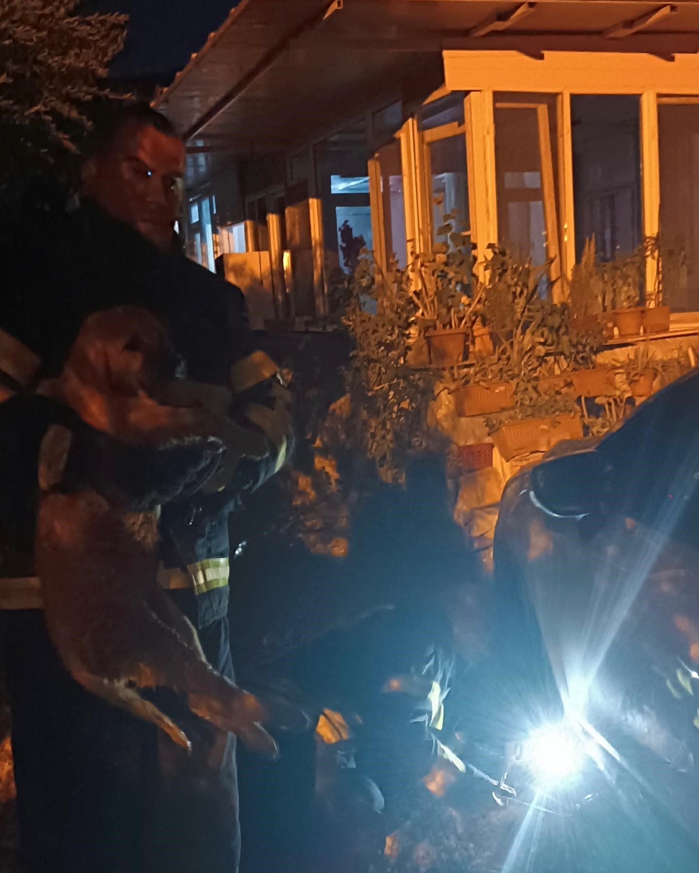 Defne'de Mahsur Kalan Yavru Köpek, İtfaiyenin Müdahalesiyle Kurtarıldı