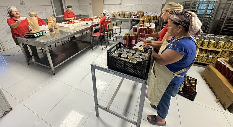 Hatay'da 6 Şubat depremlerinden etkilenen çiftçilere umut olan "Tarımsal Üretimde Onarıcı Dönüşüm Projesi" kapsamında, 120 çiftçiye onarıcı tarım eğitimi verildi.