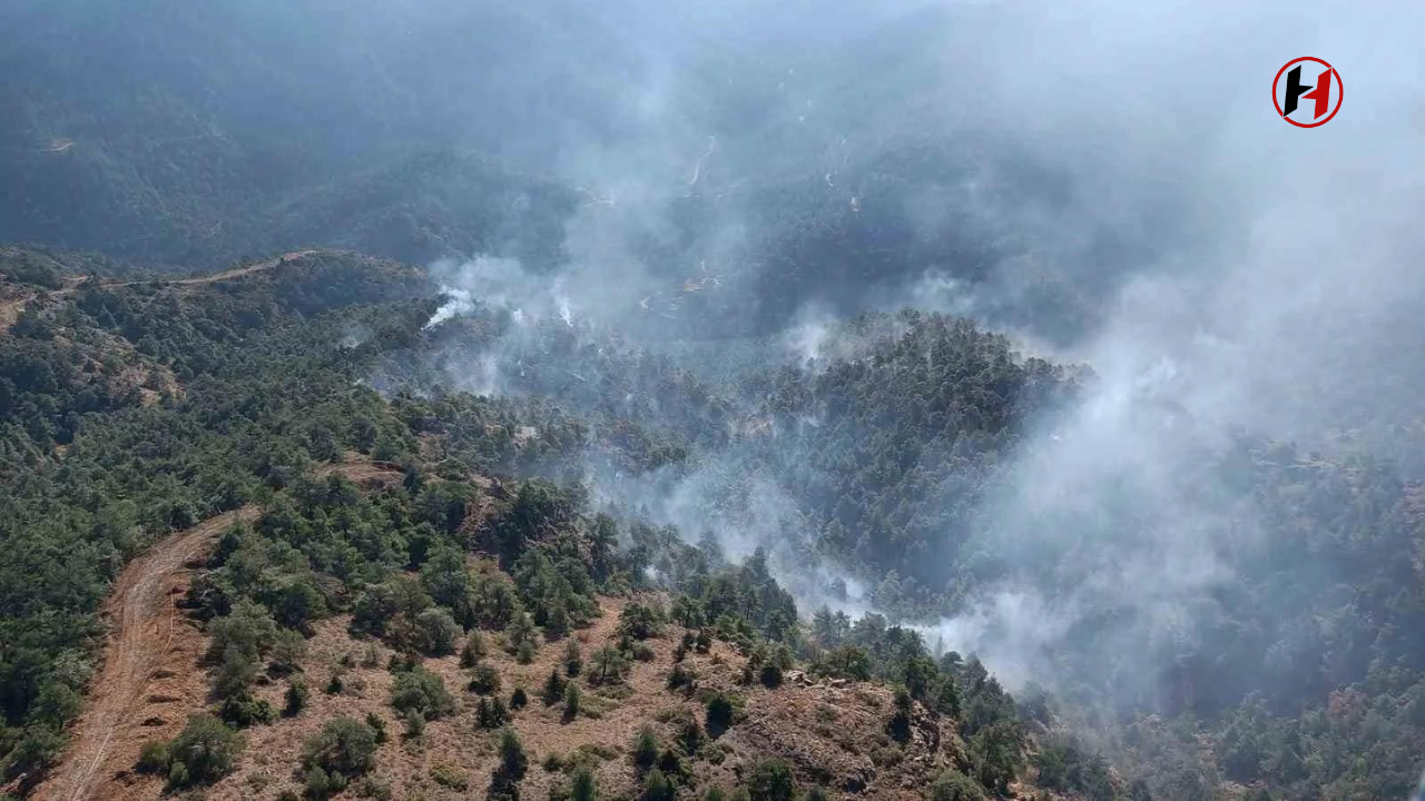 Hatay'da Çıkan Yangın Söndürüldü