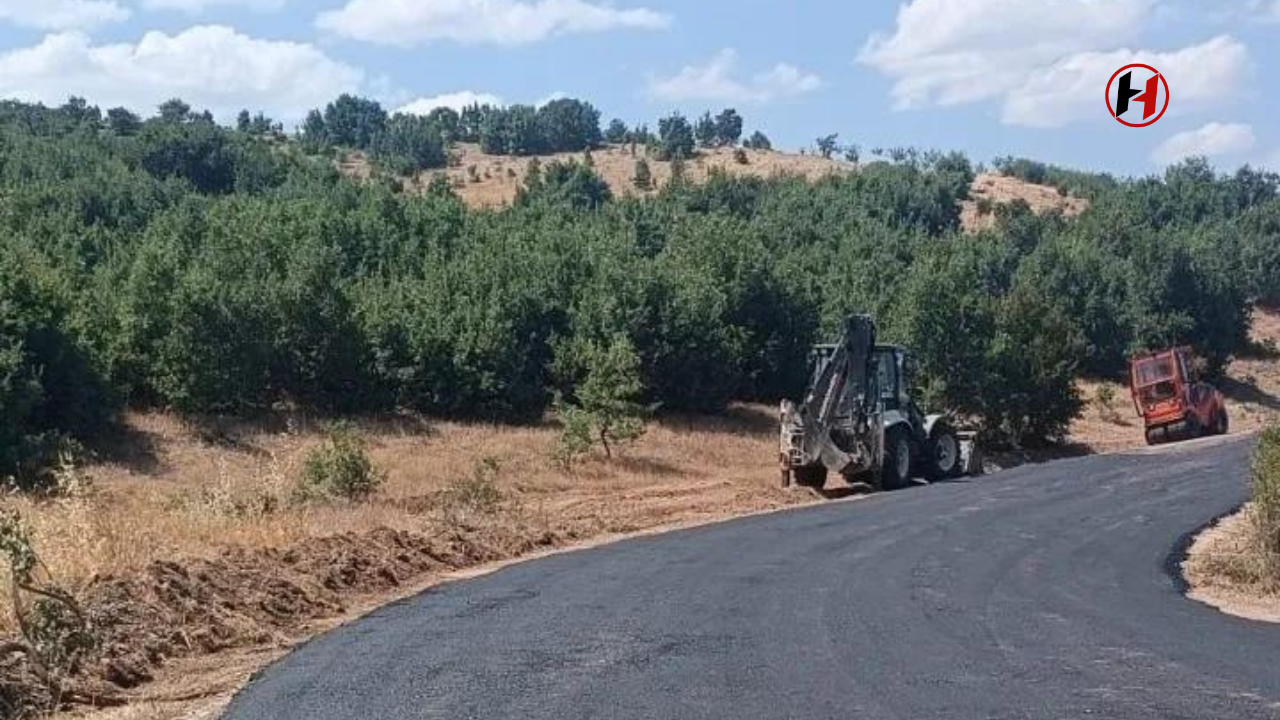 Hekimhan'da Yaşam Kolaylaştı: Büyükşehir Belediyesi Yolları Yeniledi