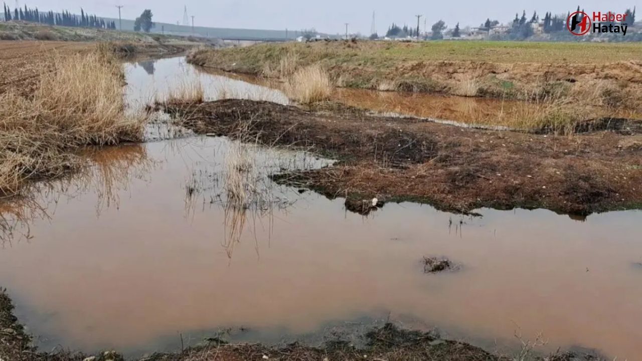 Afrin Çayı'ndaki Kirlilik Halk Sağlığını Tehdit Ediyor