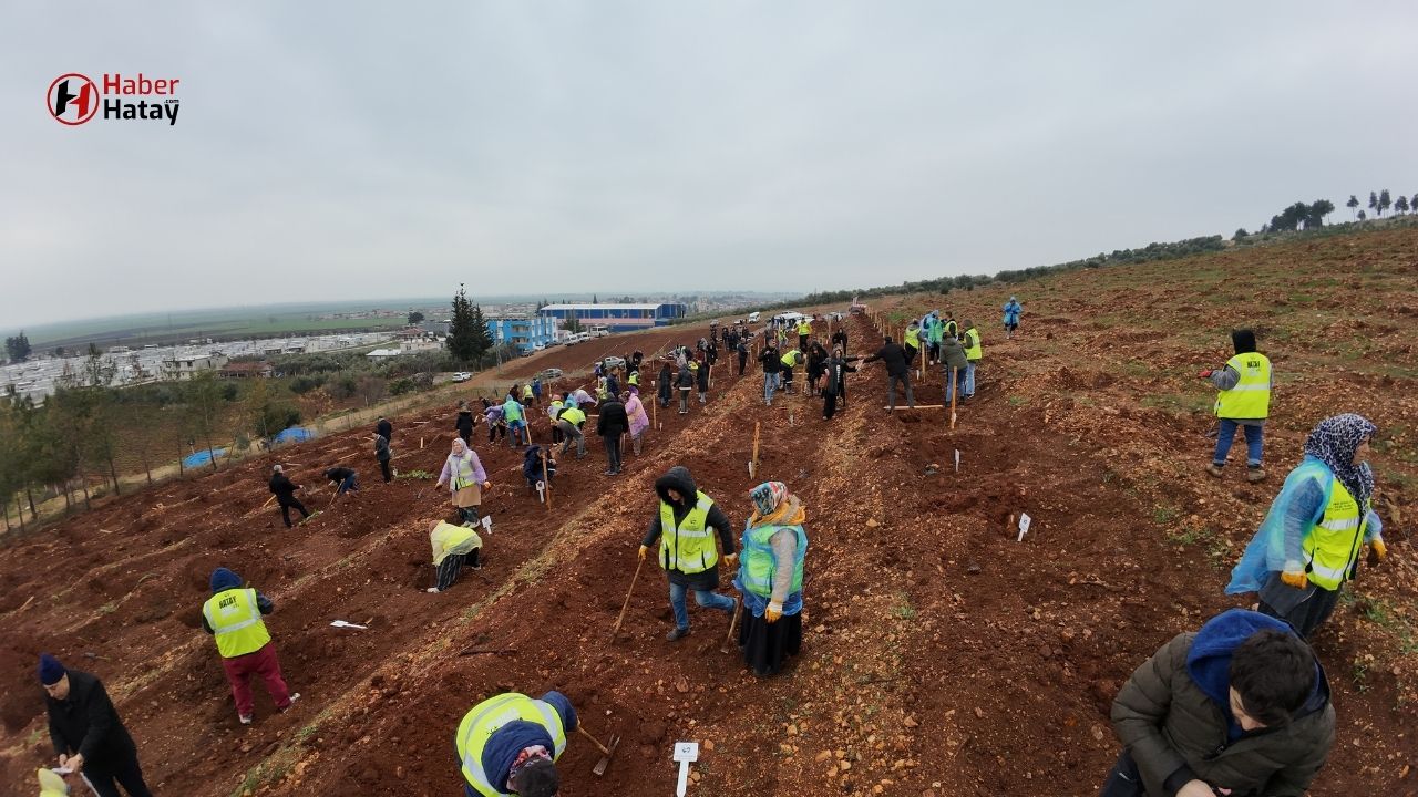 Hatay Büyükşehir Belediyesi'nden Deprem Şehitlerine Anlamlı Vefa: Fidanlar Toprakla Buluştu