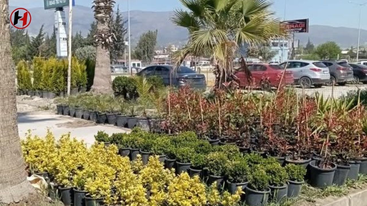 Deprem Şehri Yeşilleniyor: Genç Girişimcilerden Anlamlı Hamle