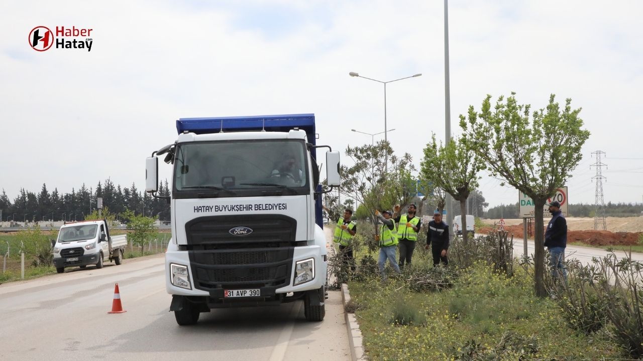 Hatay'da Refüj Bakımı Başladı! Trafik Güvenliği ve Estetik İçin Önemli Adım